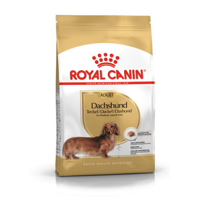 Royal Canin Dachshund Adult – Hrană Uscată pentru Câini Adulți din Rasa Teckel (Dachshund) – 1,5 kg